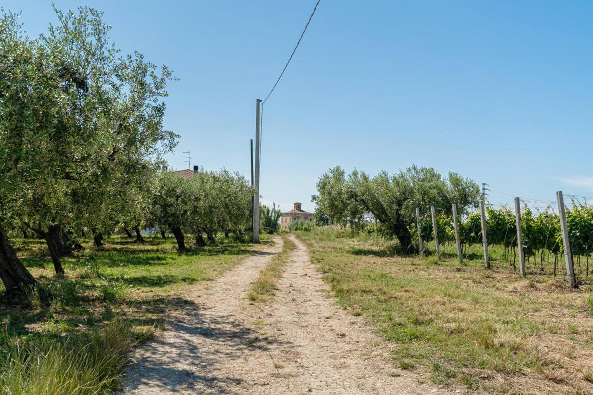 Villa Turin - Yourplace Abruzzo Torino di Sangro Εξωτερικό φωτογραφία
